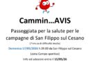 Cammin…Avis