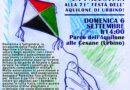 Facciamo volare gli aquiloni per la Palestina