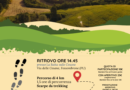 Camminata solidale